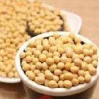 Pl - 1kg đậu nành sấy giòn
