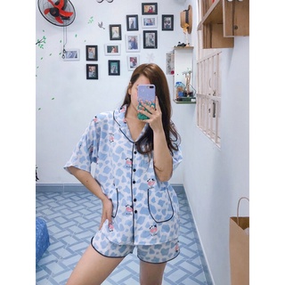 Đồ bộ Pijama tay cánh dơi