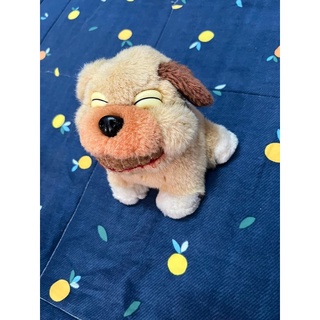 Gau bong xinh cute
