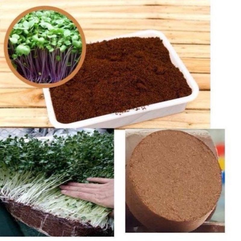 Đất nén hữu cơ mụn sơ dừa bánh lớn 450g đã xử lý dùng trồng rau củ quả sạch, hoa cảnh, rau mầm longf1