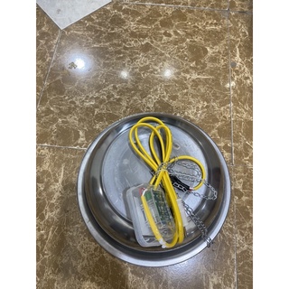 Chậu úm cacbon gà heo con