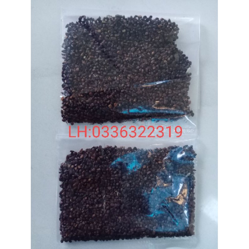 1 gói 400 hạt giống cây An Xoa