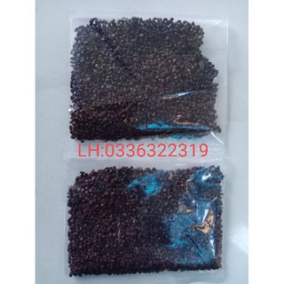 1 gói 400 hạt giống cây an xoa