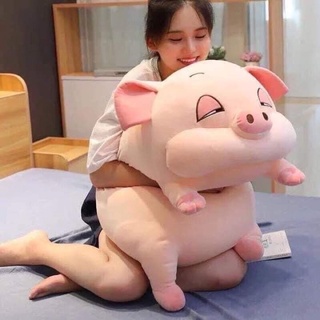 gấu lợn buồn ngủ