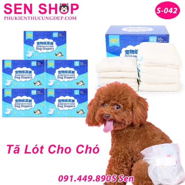 Tã bỉm cho chó mèo cái