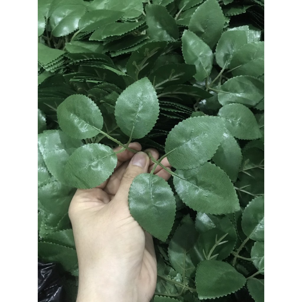 Lá hoa hồng, Bịch 100gr