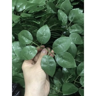 Lá hoa hồng, bịch 100gr