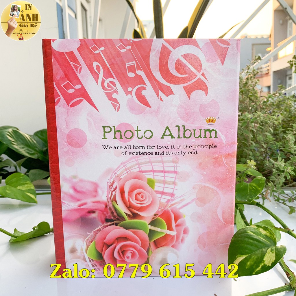 Album đựng 304 ảnh 10x15 bìa giấy cứng | BigBuy360 - bigbuy360.vn