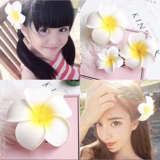 HOA CÀI TÓC PHỤ KIỆN SIÊU XINH