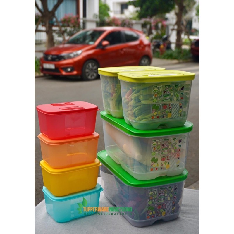 Tupperware - Bộ 4 hộp trữ mát cao cấp vensmart tặng 4 hộp đông rainbow