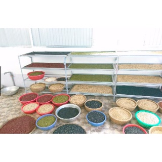 0.5kg HANDMADE BỘT NGŨ CỐC 17 HẠT -(DINH DƯỠNG, LỢI SỮA ĐẸP DA, TĂNG CÂN, GIẢM CÂN,...)