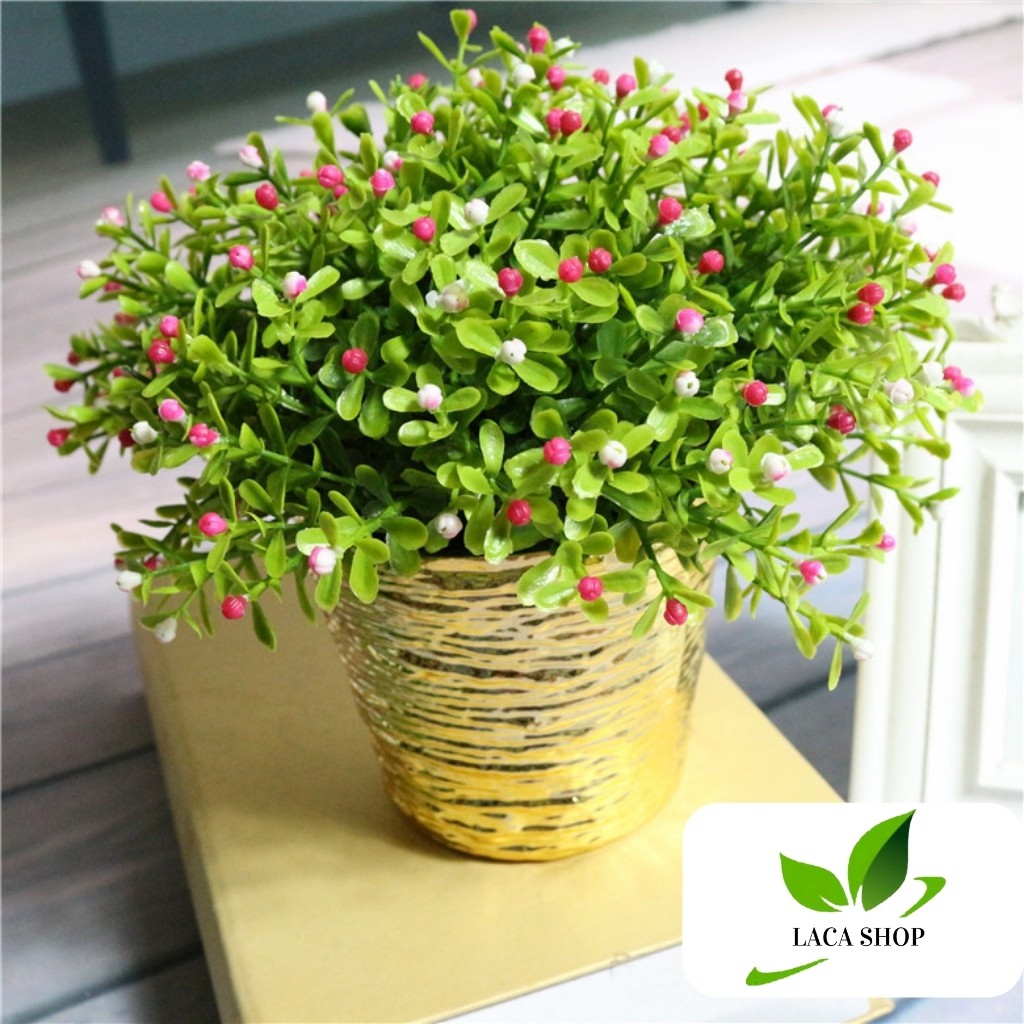 Hoa chấm bi hoa giả, hoa milan chiêm điểm nhỏ xinh