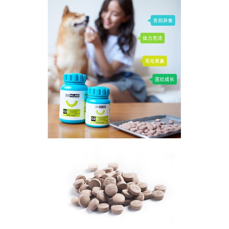 Vitamin cho chó Nourse 02 Vi lượng và sắt cho chó bầu chó thiếu chất Surica VN02 (160v)