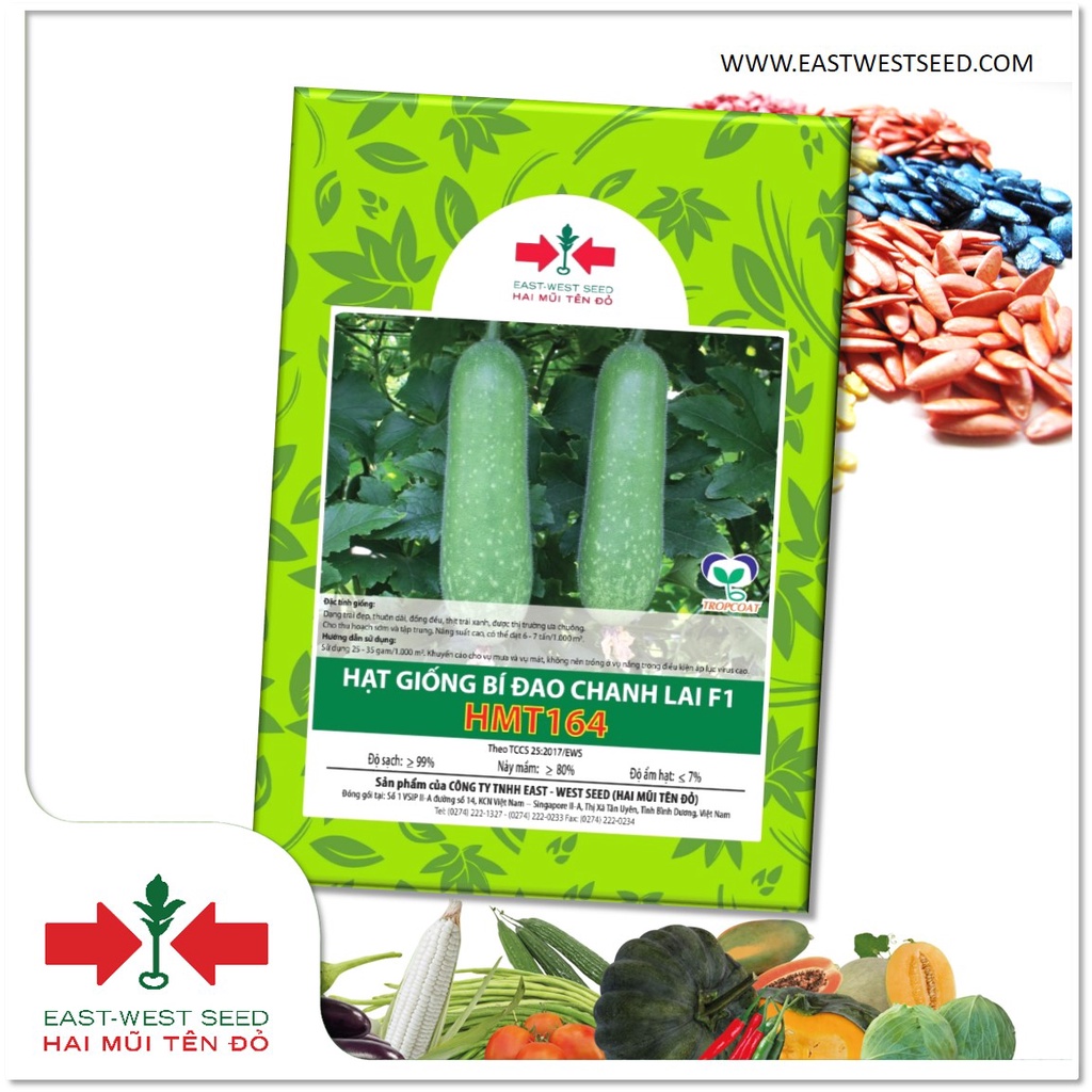 GÓI 22 HẠT BÍ ĐAO CHANH LAI F1 HMT164 CỦA EAST-WEST SEED (HAI MŨI TÊN ĐỎ)