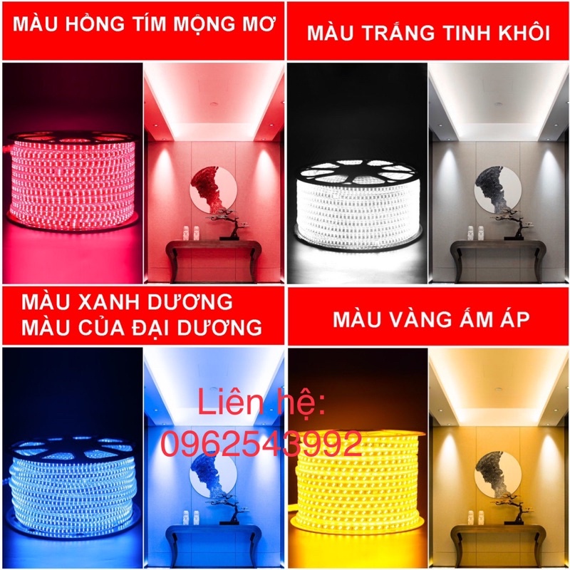 Đèn Led dây đôi 2835 ánh sáng vàng, trăng, xanh dương, tím, nhiều màu , ống nhựa 220V(bán theo m)