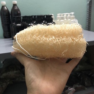 Xơ mướp tắm