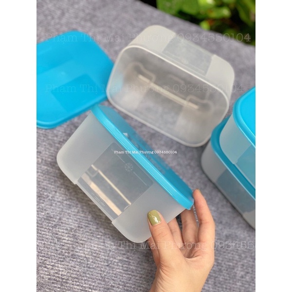 Hộp Tupperware Freezermate RAINBOW 700ml. BỘ HỘP TRỮ ĐÔNG TUPPERWARE TRUNG CHÍNH HÃNG