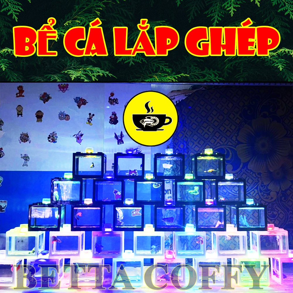 Bể Cá Lắp Ghép - Hồ cá mini kiểu dán độc đáo
