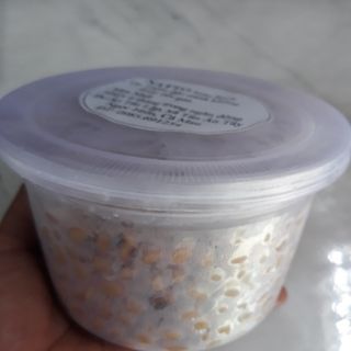 natto tươi siêu sạch 1kg