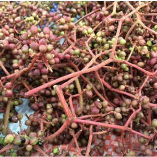 Hạt Mắc Khén Tây Bắc 1kg