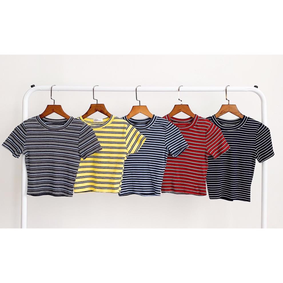 Áo thun Croptop nữ đẹp form ôm thun gân sọc ngang 6 màu Đẹp