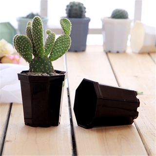 High Quality Plastic Mini Octagon Flower Pot