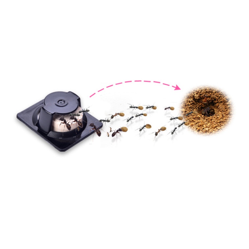 Set 6 Viên Thức Ăn Diệt Kiến, Không Gây Độc Hại Cho Người Và Động Vật, Hiệu Quả Nhanh Chóng-Hàng Nội Địa Nhật