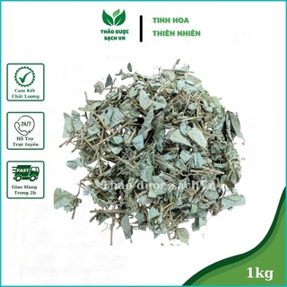 1kg Kim Tiền Thảo khô thơm sạch Thượng hạng Thảo dược sạch VN
