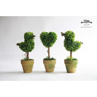 Chậu cây Vintage hình trái tim, con chim để bàn số 35  TTTM
