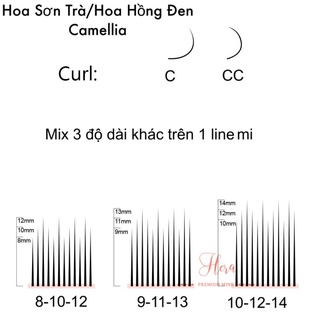 Mi hoa sơn trà