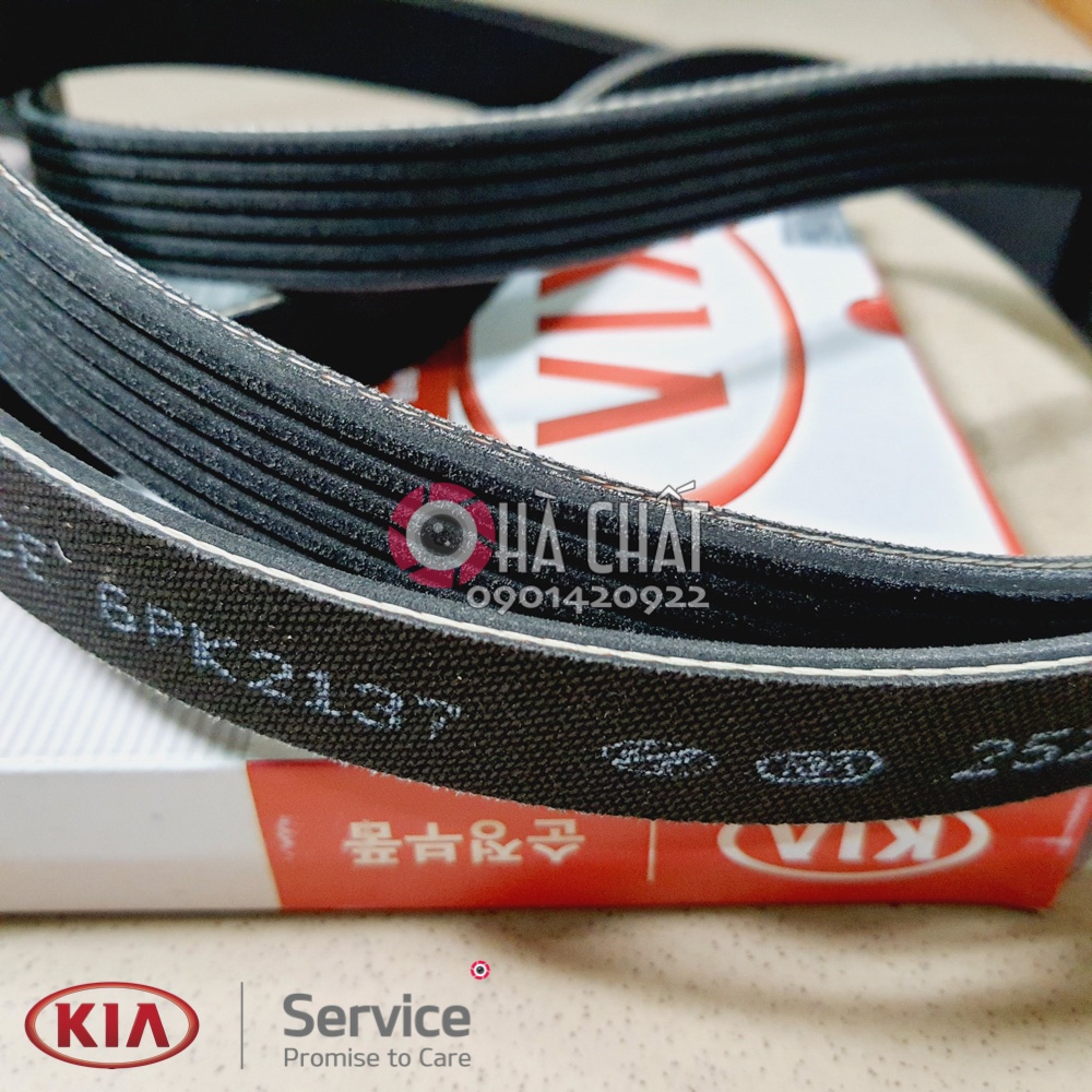 Dây Curoa Tổng KIA CARENS  🚘 Nhập Khẩu Hàn Quốc 🎯 Bảo hành 100% là hàng chính hãng