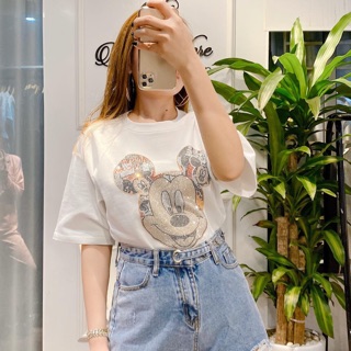 Áo chuột đá