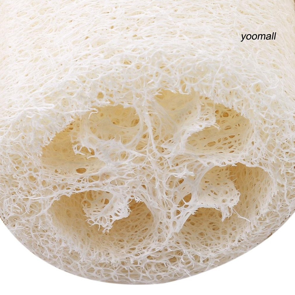 Bông xơ mướp tự nhiên tẩy tế bào chết tiện lợi