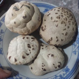 500gr nấm đông cô nhật bản loại 1 to dày thịt