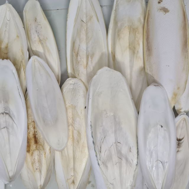 1KG NAN MỰC LOẠI TO DÀI TỪ 16-28CM NGUYÊN MIẾNG CHO CHIM,VẸT VÀ THÚ CƯNG