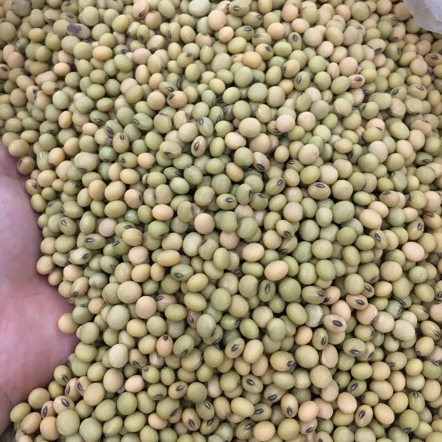 Đậu Nành Đậu Tương Xanh Dinh Dưỡng LinFood