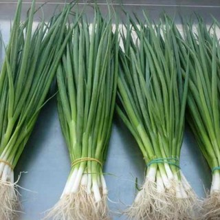 1gram HẠT GIỐNG HÀNH LÁ CAO SẢN