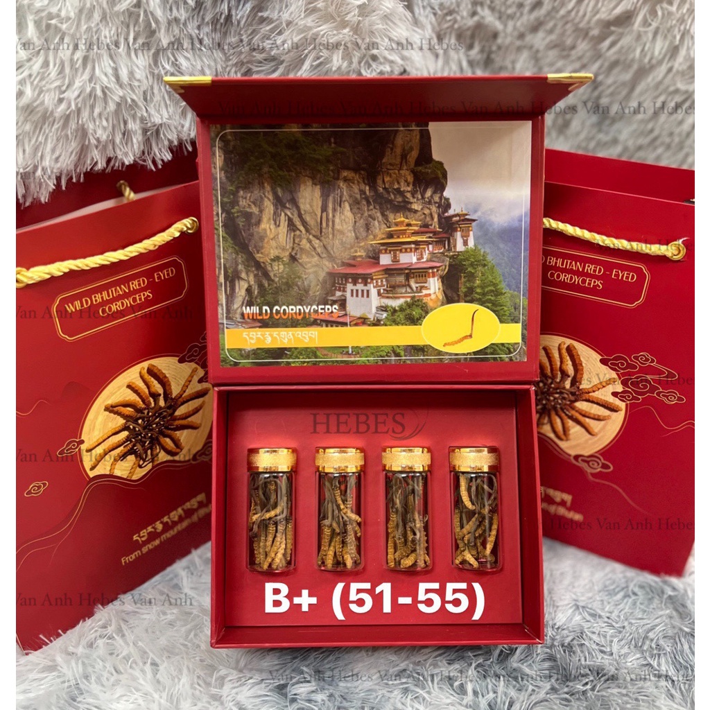 ĐÔNG TRÙNG HẠ THẢO MẮT ĐỎ BHUTAN 10GRAM SIZE 51-55 CON