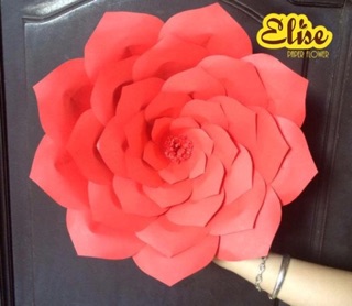 Bộ khuôn rập làm hoa giấy backdrop