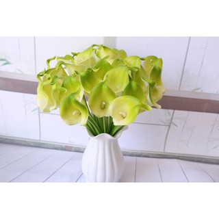 Hoa Giả - Hoa Rum Calla Lily Nam Phi