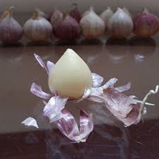 COMBO 1.5KG TỎI CÔ ĐƠN LÀM TỎI ĐEN [Tỏi loại 1,to, đều củ]