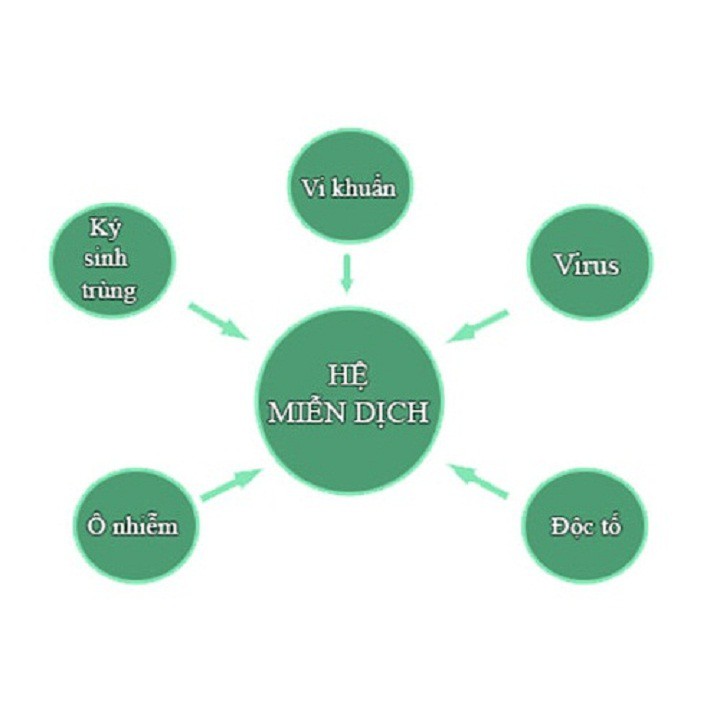 Hartus Immunity, siro tăng sức đề kháng, tăng miễn dịch cho bé, hết ốm vặt, ngăn các bệnh đường hô hấp trên (Chai 150ml)