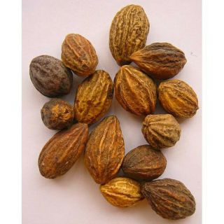 Quả kha tử 100g