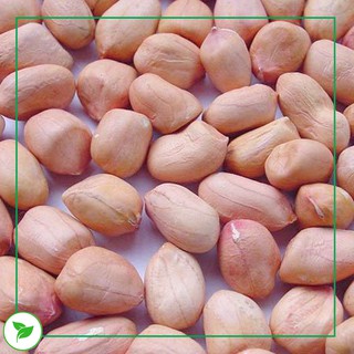 [4 tặng 1] Hạt Nấu Sữa - Set Đậu phộng Mix