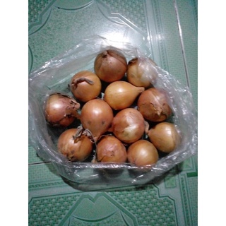 1kg Hành Tây đà Lạt thơm ngon mỗi ngày