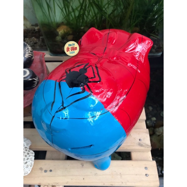 Heo đất Người nhện size L