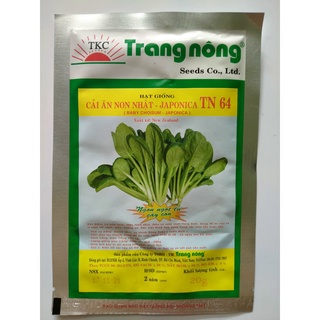 Hạt giống cải ăn non gói 20gr