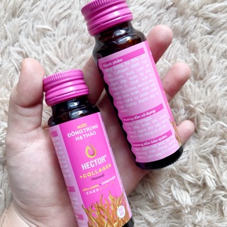 Đông trùng hạ thảo collagen/sâm