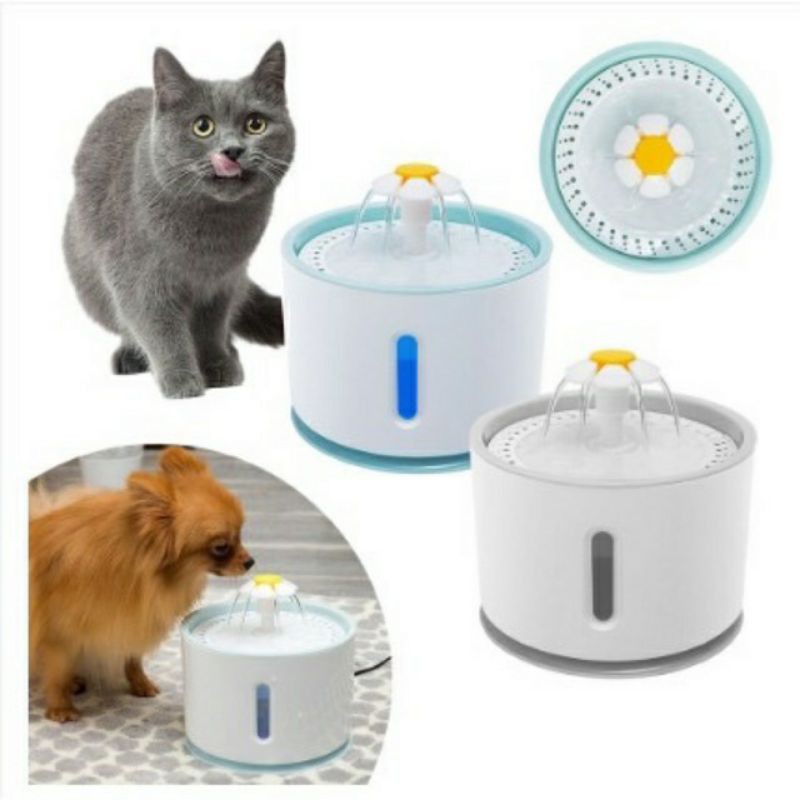 Máy lọc nước bình lọc nước cho chó mèo 2,4lít