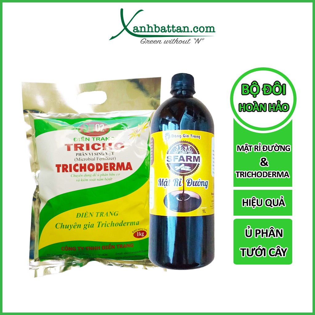 Bộ đôi Mật rỉ và men vi sinh Trichoderma Ủ phân bón, rác thải gia đình